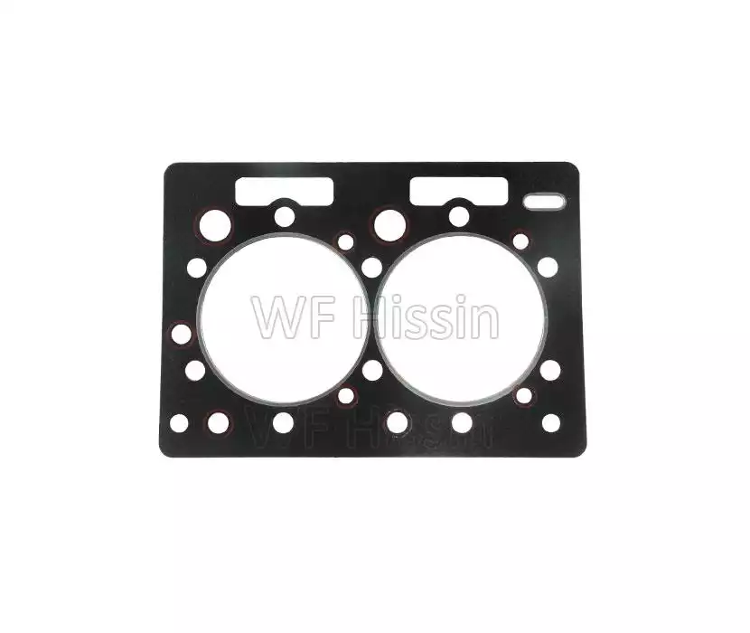 Cylinder head gasket TY2100